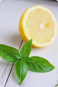 Green Tea-Lemon Basil Dressing