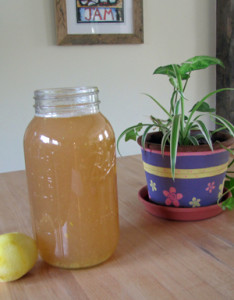 Brewed Rhubarb