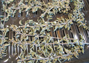 Dried Oregano