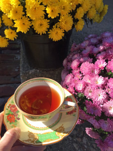 Tea on a suuny Autumn day