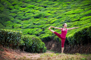 Tea Plantation Yoga
