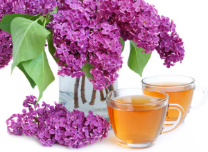 Teacups and Lilacs
